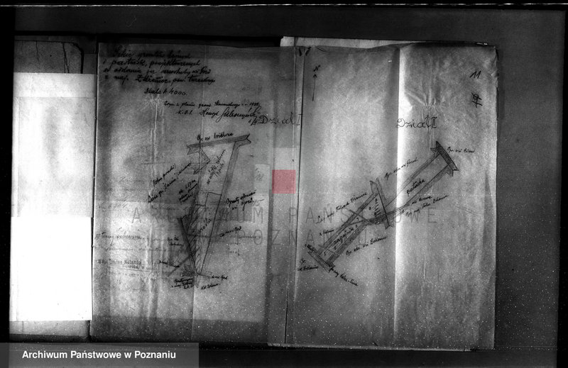 Obraz 15 z jednostki "Zmiana częściowej zmiany orzeczenia dotyczącego lasu majątku Zdzenice powiat turecki"