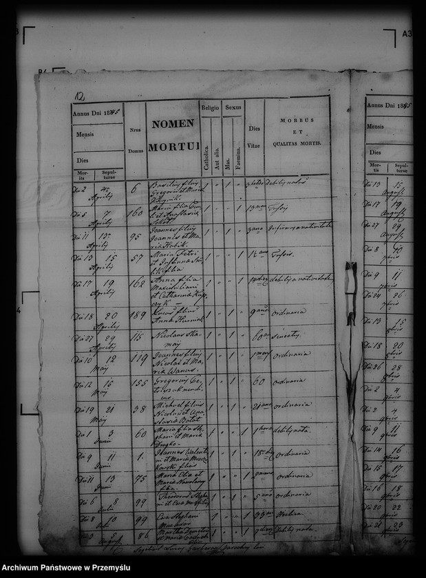 Obraz 16 z jednostki "[Kopie ksiąg metrykalnych parafii Piątkowa Ruska (dekanat Bircza)]"