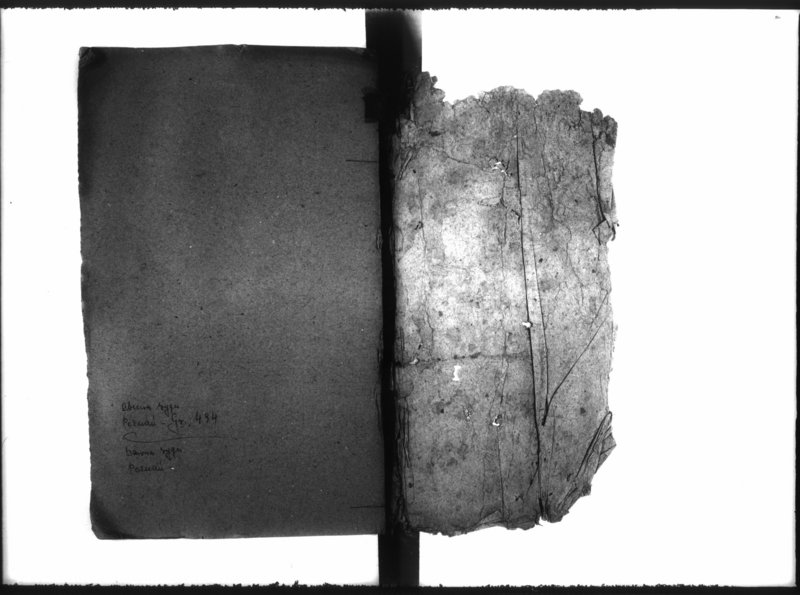 Obraz 3 z jednostki "Inscriptiones, resignationes [protocollon]"