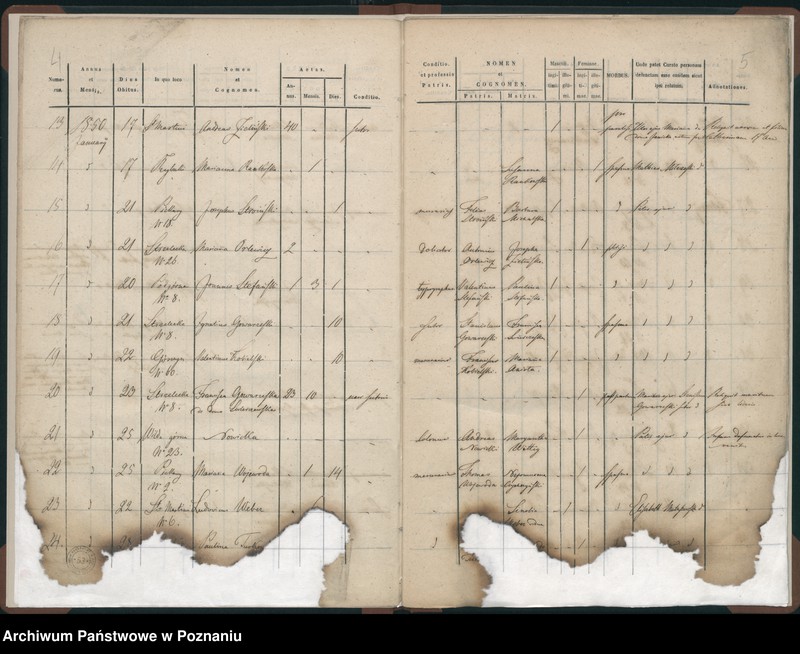 Obraz 5 z jednostki "Księga zgonów"