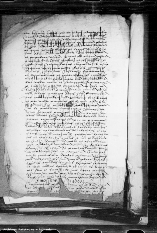 Obraz 4 z jednostki "Inscriptiones, relationes, decreta [inducta]"