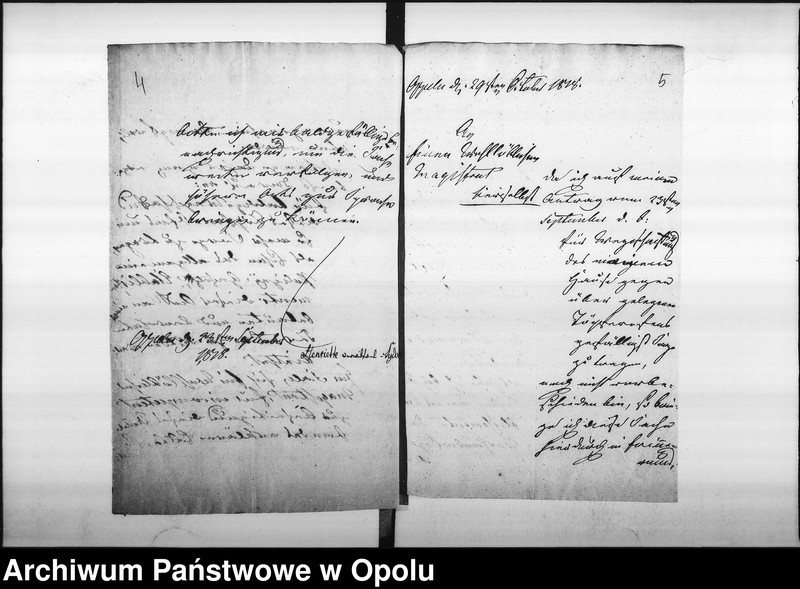 Obraz 7 z jednostki "Acta specialia des Magistrats zu Oppeln betreffend die von der verwittweten Landräthin v[on] Sydow verlangte Wegschaffung des Töpfer Ofens, des Töpfers Donath in der Groschowitzer Vorstadt Vol. I de anno 1818"