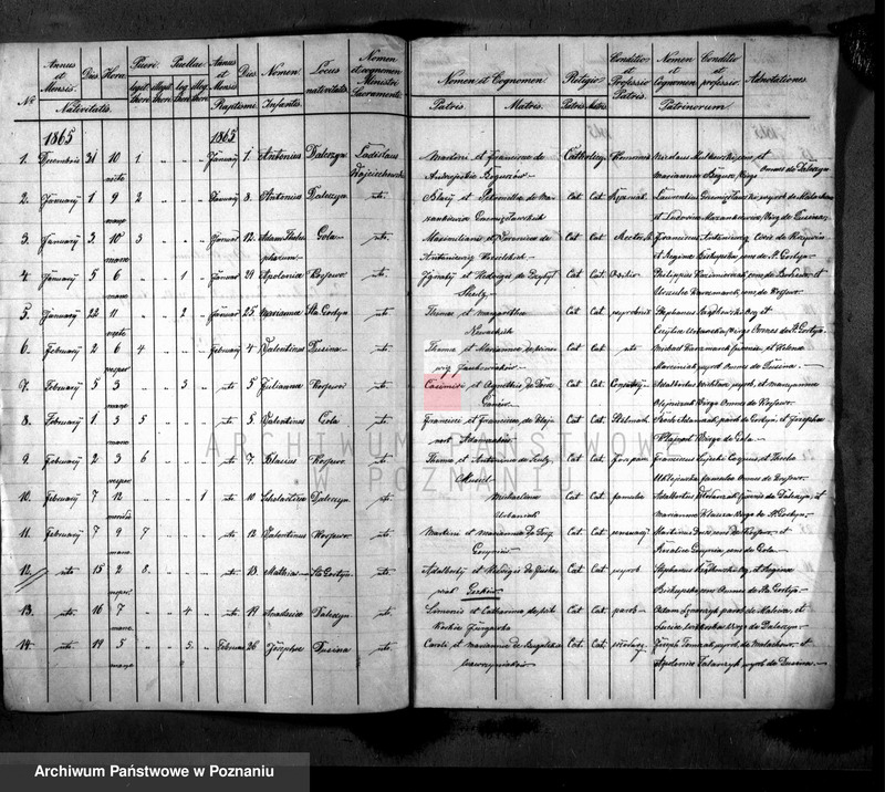 Obraz 2 z jednostki "Liber baptisatorum"