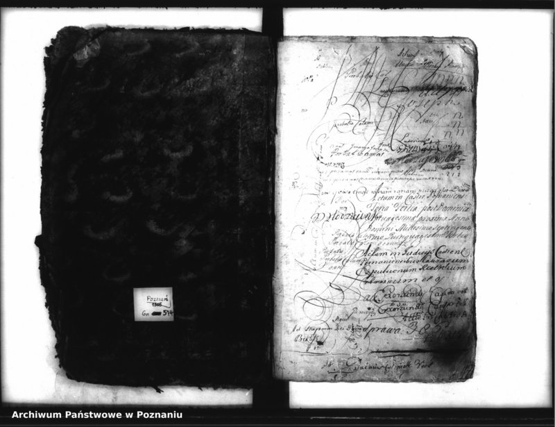 Obraz 3 z jednostki "Inscriptiones, resignationes [protocollon]"