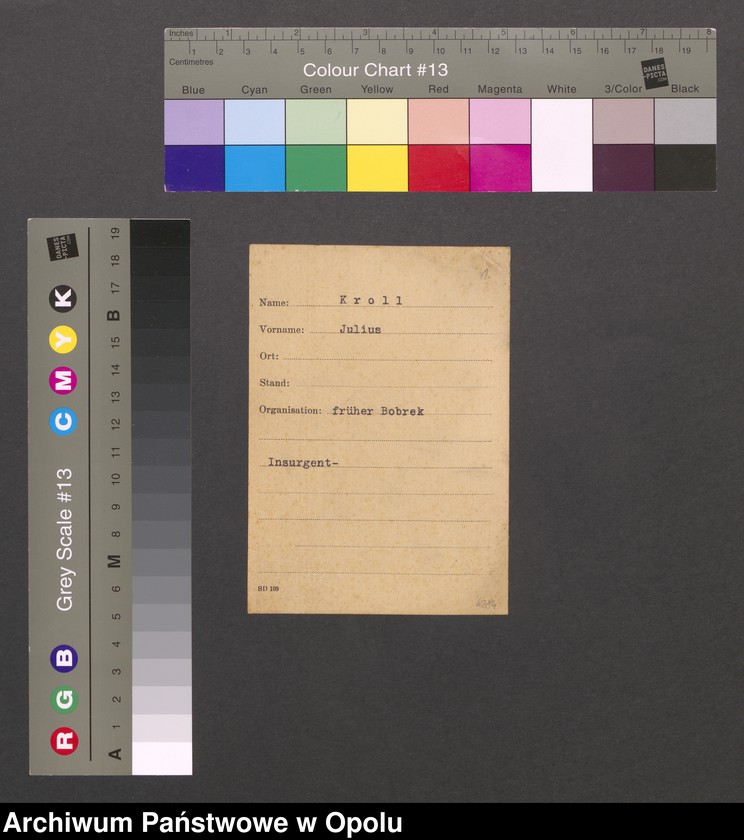 Obraz 3 z jednostki "[Kroll Julius, Bobrek]"