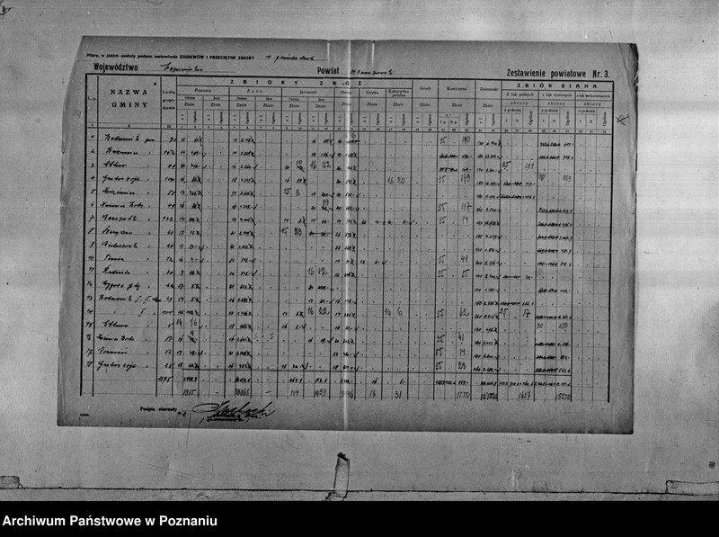 Obraz 16 z jednostki "/Statystyka produkcji rolnej - zestawienie powiatowe - Ostrów/"