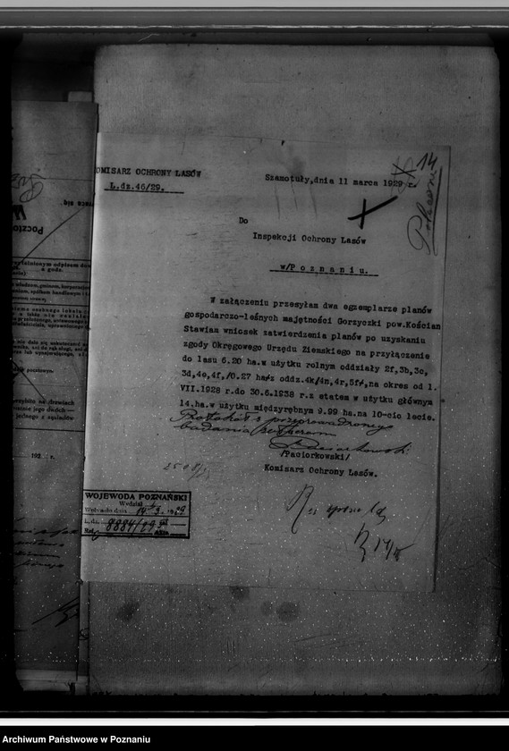 Obraz 18 z jednostki "Majętność /leśna/ Gorzycziki powiat kościański"