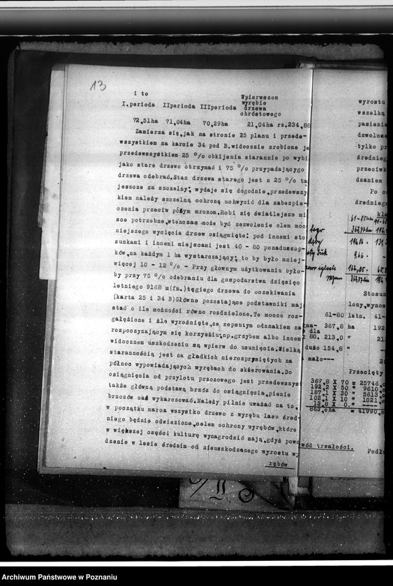 Obraz 17 z jednostki "Majętność /leśna/ Pępowo w powiecie gostyńskim"