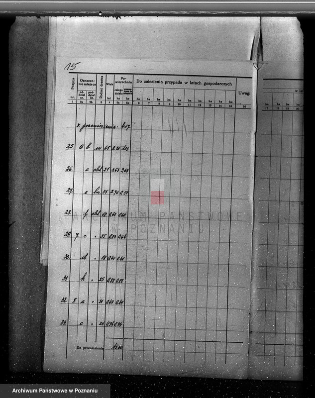 Obraz 19 z jednostki "Plan urządzania gospodarstwa leśnego dla lasu majętności Gorzyczki powiat kościański"