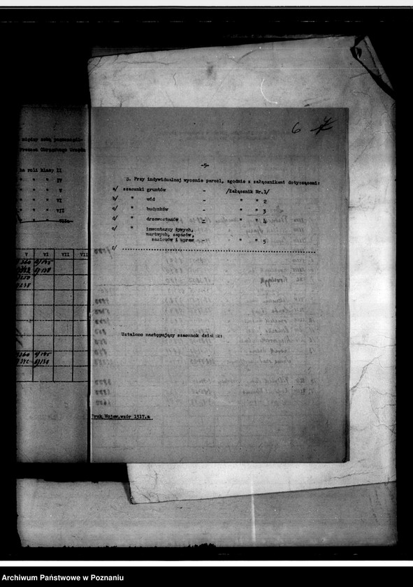 Obraz 9 z jednostki "Operat szacunkowy Dziembowo-Byszki powiat chodzieski"