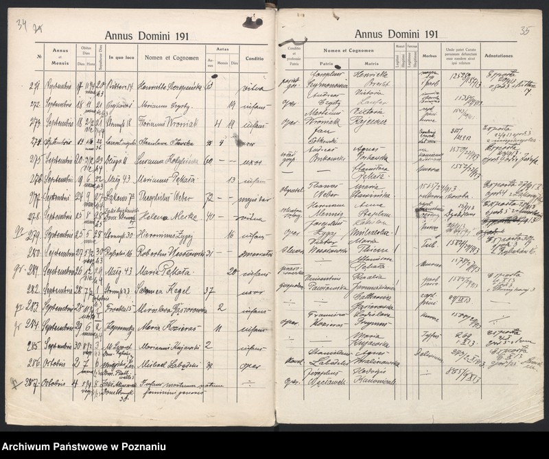 Obraz 20 z jednostki "Indeks zgonów"