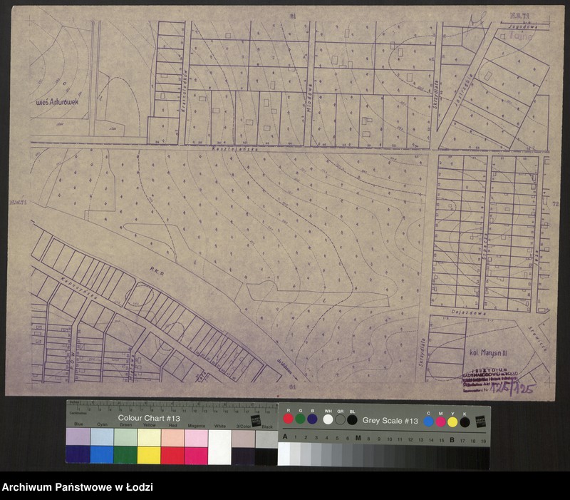 Obraz 1 z jednostki "Plan miasta Łodzi. Sekcja NO 71"