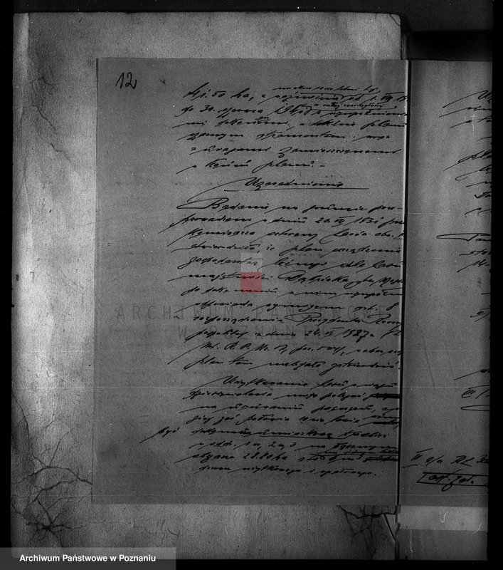 Obraz 16 z jednostki "Majętność /leśna/ Szczeglin Dąbrówka w powiecie mogileńskim"