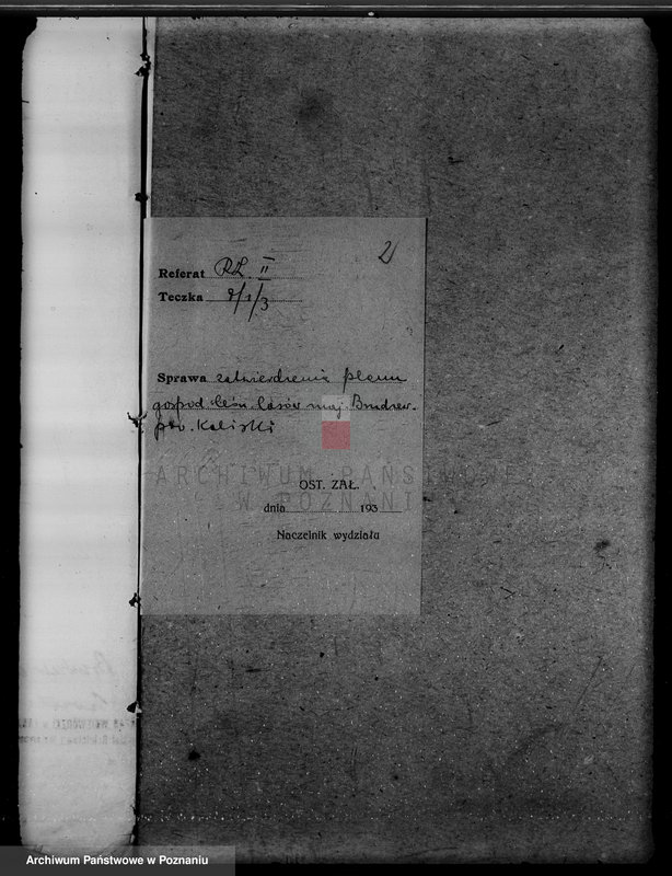 Obraz 6 z jednostki "Lasy majątku Brudzew w powiecie kaliskim"