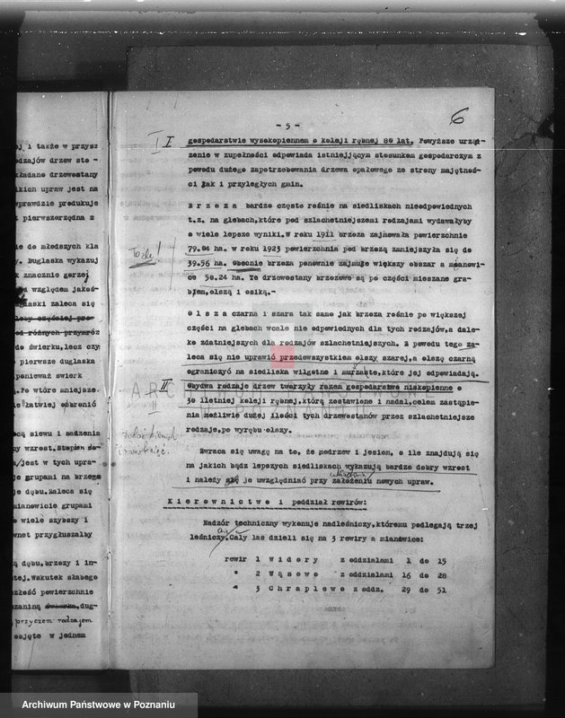 Obraz 10 z jednostki "Plan urządzenia gospodarstwa leśnego dla lasu majętności Wąsowo w powiecie nowotomyskim 1933-1943"