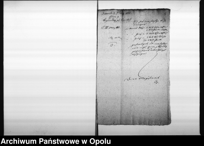 Obraz 8 z jednostki "Acta des Magistrats zu Oppeln von Einsendung der monathl[ichen] Nachweisnung der Tuch Fabrication Vol. I de anno 1812"