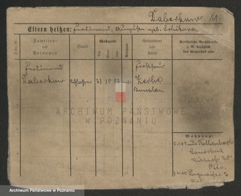 Obraz 13 z jednostki "Daab - Dalkowiecki"