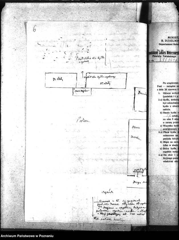 Obraz 10 z jednostki "Sprawy szczegółowo-Zaraza płucna - Toruń"
