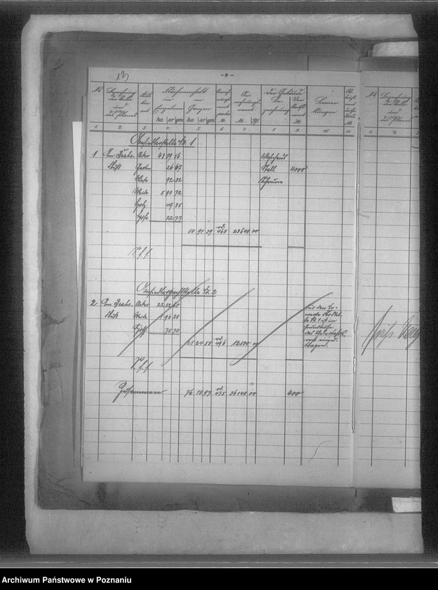 Obraz 19 z jednostki "Operat szacunkowy majątku Tryszczyn powiatu bydgoskiego"