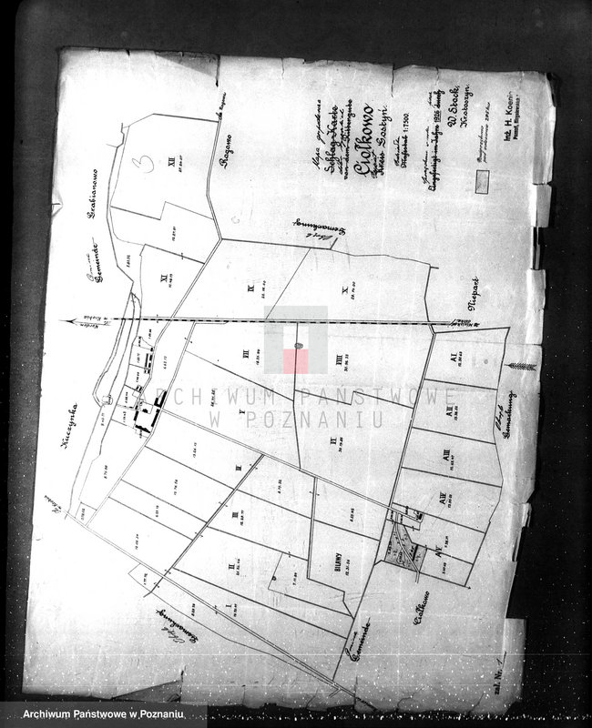 Obraz 7 z jednostki "/Zalesienie gruntów ornych/"