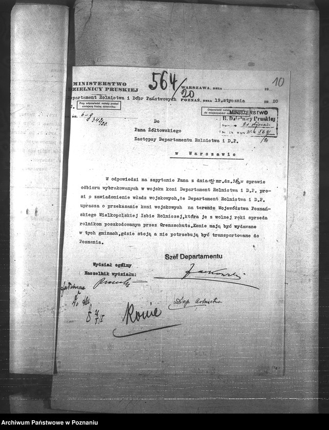 Obraz 14 z jednostki "Konie"