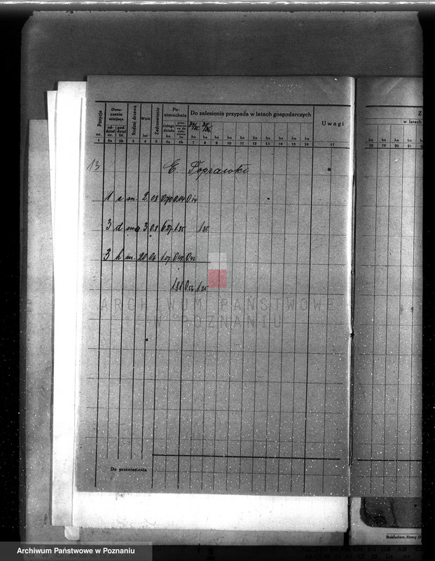 Obraz 17 z jednostki "Plan urządzenia gospodarstwa leśnego majątku Chlewiska w powiecie szamotulskim"
