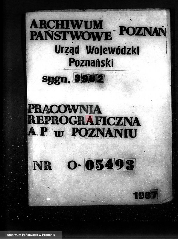 Obraz 1 z jednostki "Majętność leśna Potulice powiat wągrowiecki"