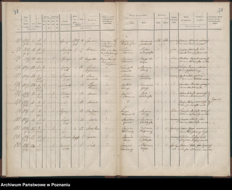 Obraz 17 z jednostki "Księga urodzeń"