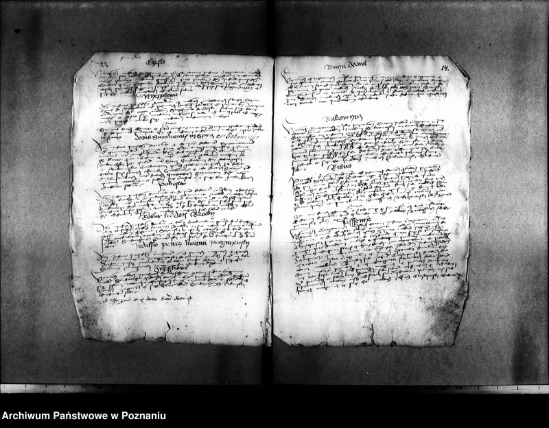 Obraz 17 z jednostki "Resignationes ,inscriptiones, relationes, decreta [protocollon]"