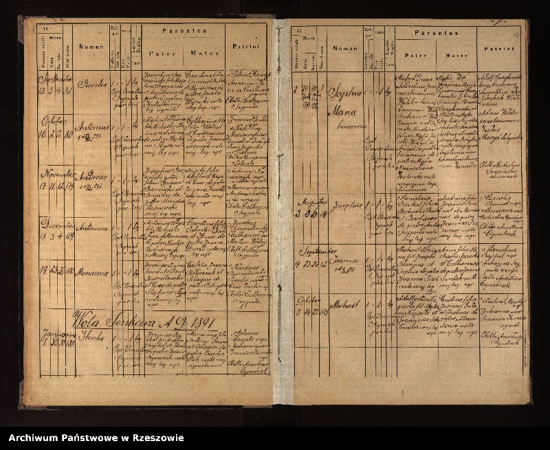 image.from.unit.number "Księga urodzeń, małżeństw i zgonów dla miejscowości Nowotaniec, Nadolany, Nagórzany, Pielnia, Wola Sękowa, Wola Jaworowa, Puławy"