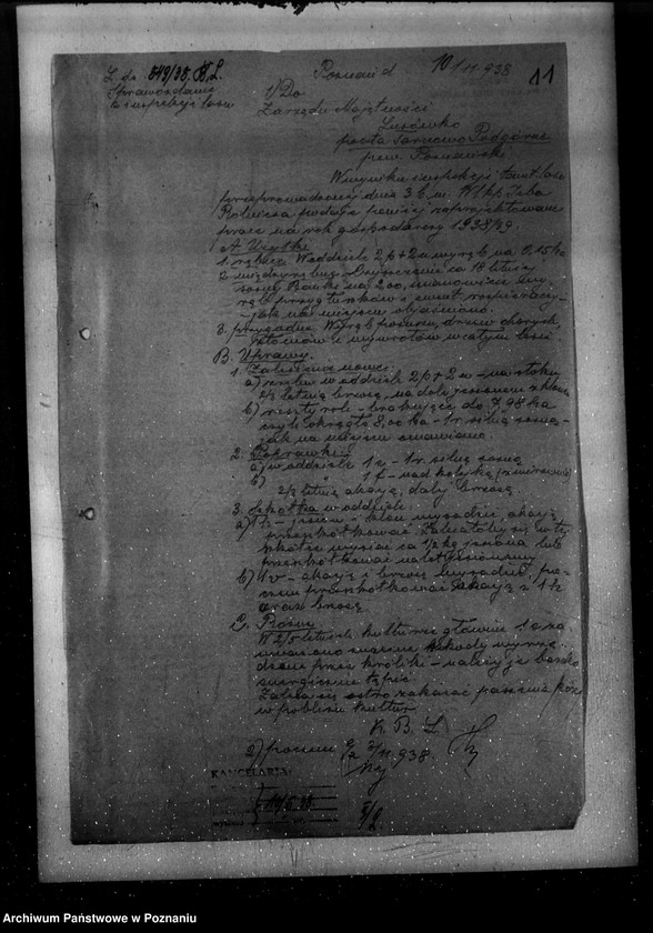 Obraz 15 z jednostki "Nadzór nad gospodarką w lasach majętności Lusówko powiatu poznańskiego"