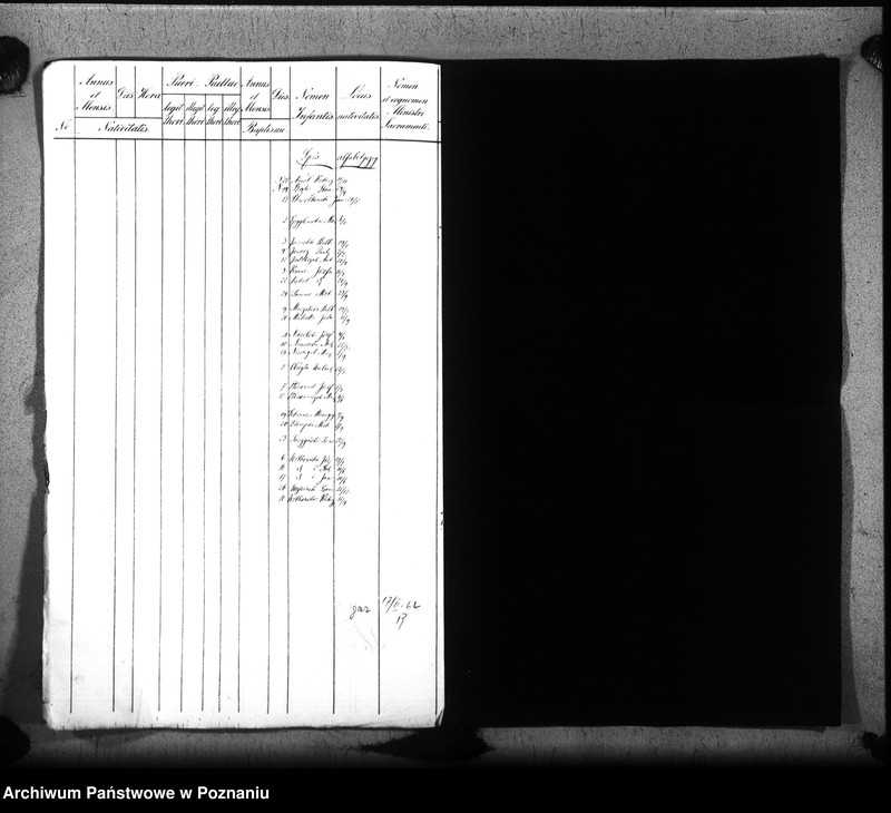 Obraz 5 z jednostki "Duplikat urodzonych"