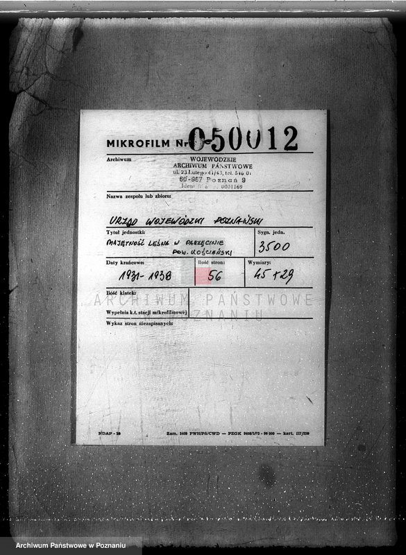 Obraz 2 z jednostki "Majętność leśna w Parzęcinie powiat kościański"