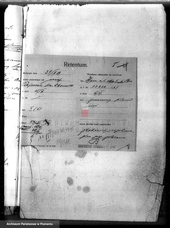 Obraz 9 z jednostki "Nadzór nad gospodarką w lasach majętności Wojnowo powiat obornicki"