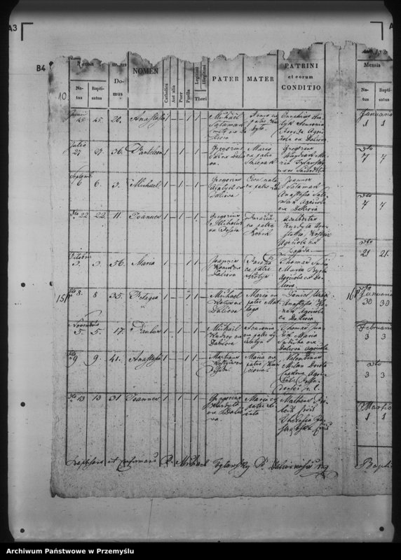 Obraz 14 z jednostki "[Kopie ksiąg metrykalnych parafii Daliowa z filią Szklary (dekanat Rymanów)]"