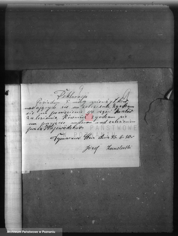 Obraz 13 z jednostki "Zalesienie nieużytków w powiecie poznańskim"