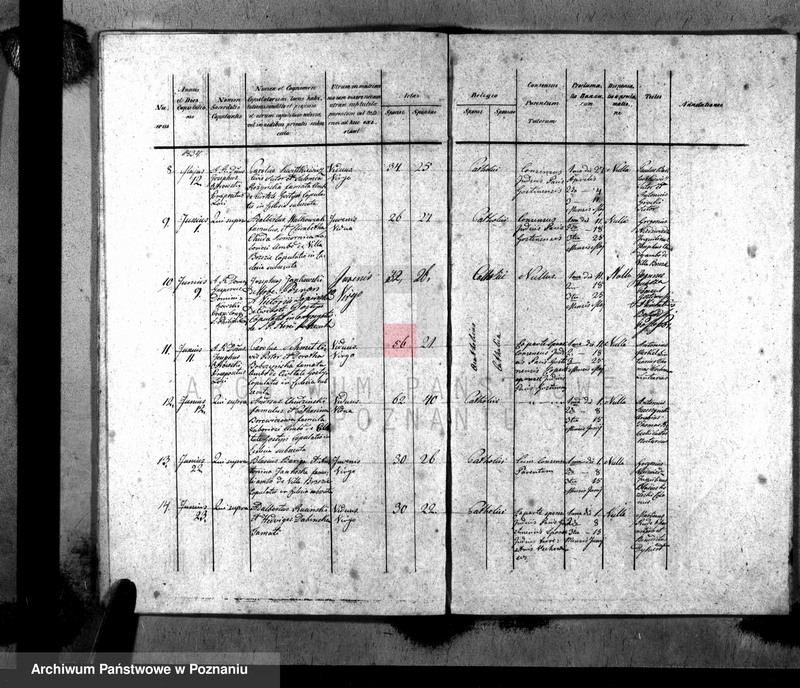 Obraz 14 z jednostki "Liber baptisatorum, copulatorum, mortuorum"
