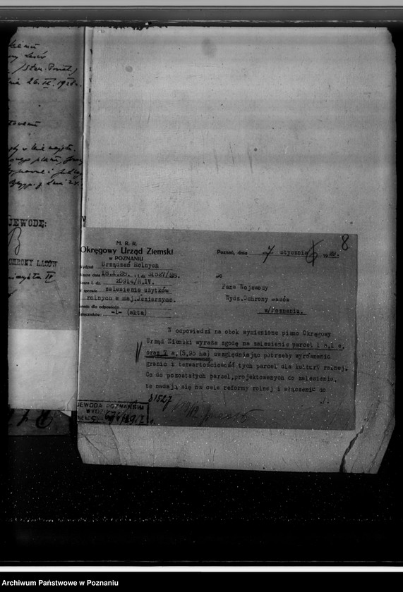 Obraz 12 z jednostki "Nadzór nad gospodarką w lasach majętności Jezierzyce"