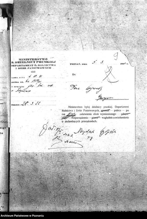 Obraz 13 z jednostki "Pow. lekarz Weterynaryjny Koźmin"