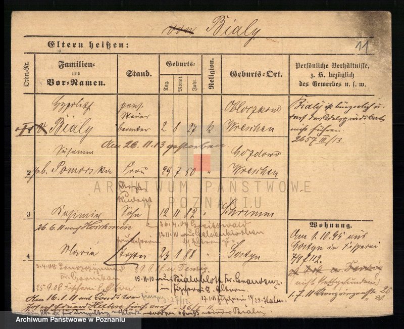 Obraz 15 z jednostki "Biały - Biedowicz"