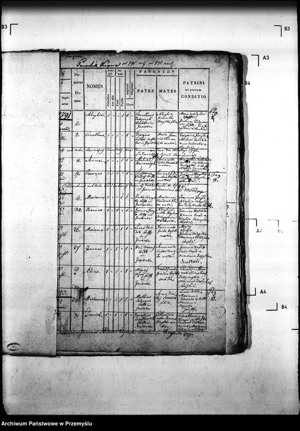 Obraz 19 z jednostki "[Kopie ksiąg metrykalnych parafii Krzywa z filiami Jasionka, Wołowiec (dekanat Gorlice)]"