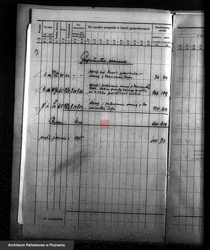Obraz 11 z jednostki "Program urządzenia gospodarstwa leśnego dla lasu majętności Kobylepole powiat poznański 1933/34-1938/39"