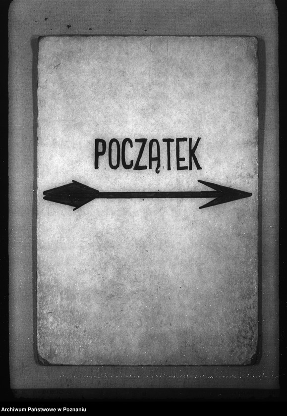 Obraz 3 z jednostki "Plany pracy komórek organizacyjnych urzędu namiestnika zebrane dla ustalenia podziału czynności"