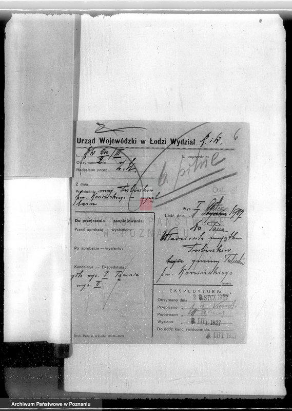 Obraz 9 z jednostki "Las miasta Tuliszkowo powiat koniński"