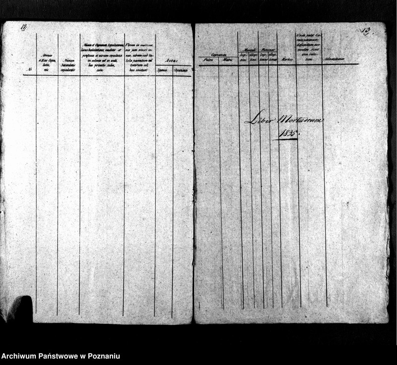 Obraz 9 z jednostki "Libri metrices baptisatorum, desponsatorum, mortuorum"