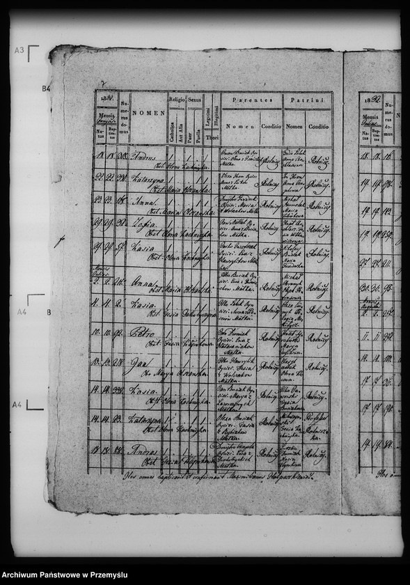 Obraz 11 z jednostki "[Kopie ksiąg metrykalnych parafii Nahujowice (dekanat Drohobycz)]"