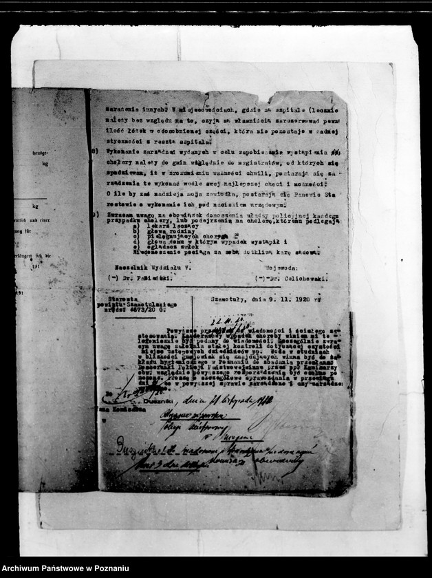 Obraz 6 z jednostki "/Zwalczanie zaraźliwych chorób/"