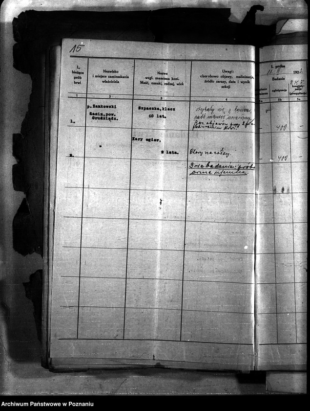 Obraz 19 z jednostki "Nosacizna - Grudziądz"