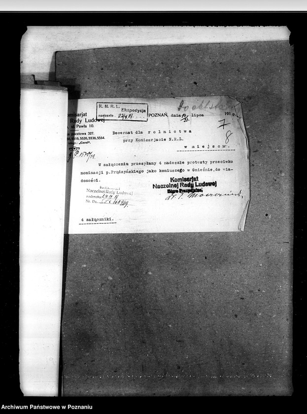 Obraz 12 z jednostki "Sprawy ogólne stadnin"