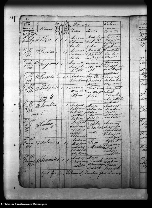 Obraz 8 z jednostki "[Kopie ksiąg metrykalnych parafii Prusiek z filią Sanoczek (dekanat Sanok)]"